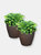 Anjelica Outdoor Double-Walled Flower Pot Planter