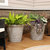 Arabella Outdoor Double-Walled Flower Pot Planter