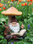 Bookworm Bernard the Garden Gnome Statue with Mushroom and Solar Light