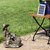 Boy with Dog Solar Outdoor Water Fountain - 15"