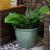 Ceramic Ocean Villa Indoor/Outdoor Planter - 15"