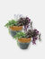 Chalet Glazed Ceramic Planter - Set of 2