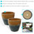 Chalet Glazed Ceramic Planter - Set of 2