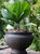 Elizabeth Round Flowerpot Double Wall Polyresin Garden Planter 4-Pack 16" Rust