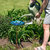 Exquisite Feathers Deck-Mounted/Staked Glass Bird Bath