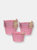 Galvanized Steel Bucket Wood Handle Planter Storage Container (Set of 10) - Pink