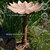 Garden Lotus Metal Bird Bath - Copper Patina - 16.5"