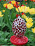 Hanging Hummingbird Feeder Outdoor Red Mosaic Glass Flower Design