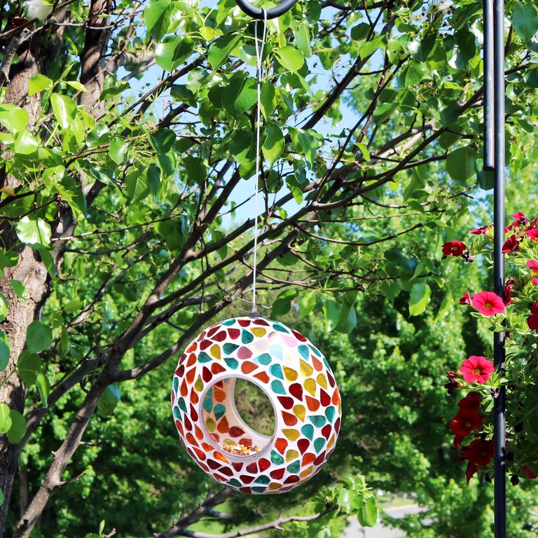 Hanging Wild Bird Feeder for Garden 6" Round Fly