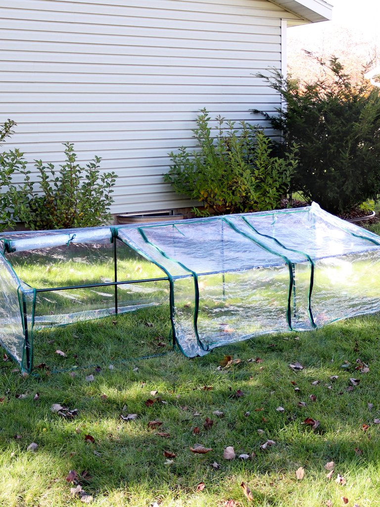 Outdoor Mini Slanted Cloche Greenhouse with Zippered Doors