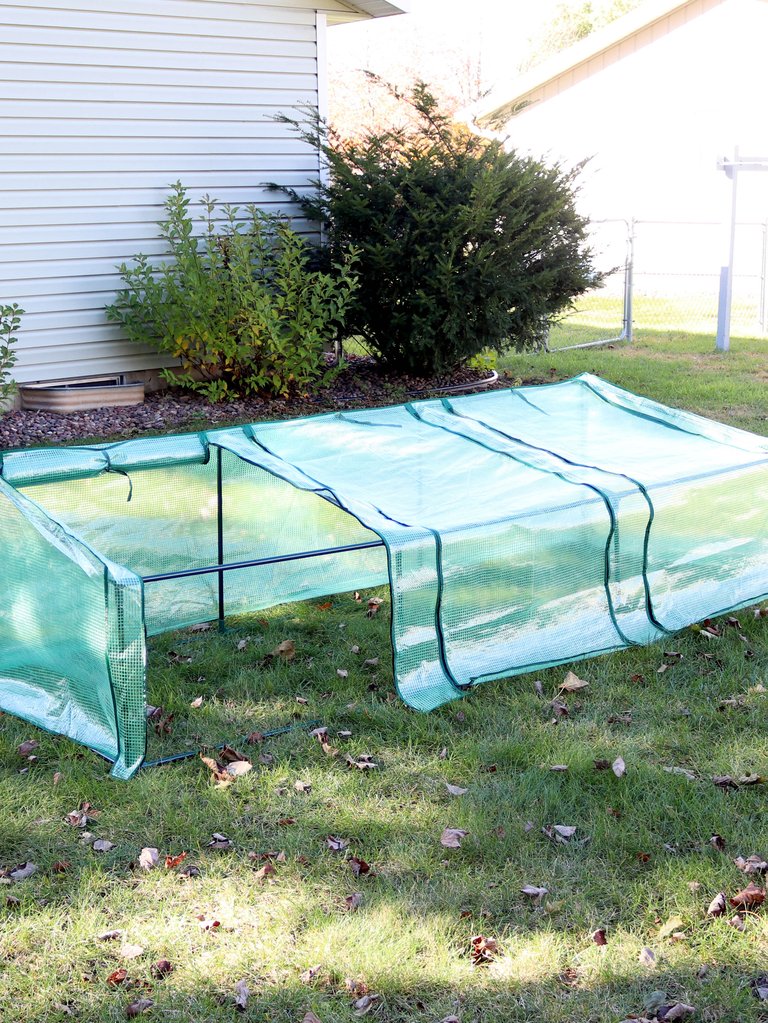 Outdoor Mini Slanted Cloche Greenhouse with Zippered Doors