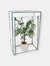 Outdoor Portable Deluxe Potted and Tomato Plant Greenhouse