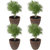 Pebbled Polyresin Indoor/Outdoor Planter - Dark Brown