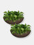 Percival Round Flowerpot Double Wall Polyresin Garden Planter 2-Pack 21" Sable