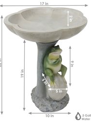 Polyresin Brooding Frog on Stone Outdoor Garden Bird Bath