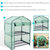 Portable 2-Tier Mini Greenhouse for Outdoors with Cover