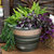 Purlieu Ceramic Planter - 15"