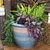 Purlieu Ceramic Planter - 15"