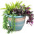 Purlieu Ceramic Planter - 15"