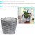 Set of 5 Indoor Poplar Wicker Planters with Plastic Liners