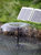 Solar Pump and Solar Panel Kit with Battery and LED Light - 396 GPH