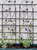 Sunnydaze 32 in Brown Steel Wire Swirl Leaf Garden Plant Trellis - Set of 2