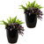 Sunnydaze Captivating Vista Ceramic Planter (Set Of 2) 11.5" - Beachcomber