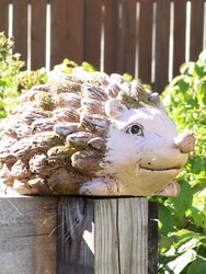 Sunnydaze Hazel the Hedgehog Indoor/Outdoor Garden Statue - 7 in