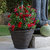 Sunnydaze Laurel Outdoor Double-Walled Flower Pot Planter - Rust - 13" - Single