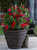 Sunnydaze Laurel Outdoor Double-Walled Flower Pot Planter - Rust - 13" - Single