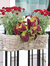 Sunnydaze Round Polyrattan Over-the-Rail Tri-Planter