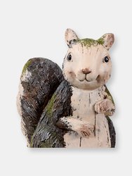 Sunnydaze Silas the Woodland Squirrel MGO Indoor/Outdoor Statue - 13 in
