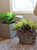 Sunnydaze Square Polyrattan Indoor Planters - 1 Large/1 Small Planter