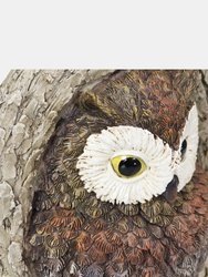 Sunnydaze Winifred and Wesley the Owls Resin Tree Hugger Decorations - 9 in
