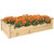 Sunnydaze Wooden Fir Square Raised Garden Bed - 24 x 48.25 in - Natural