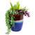 Vista Ceramic Planter - 14"