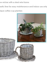 Willow Wicker Coffee Cup Indoor Planters