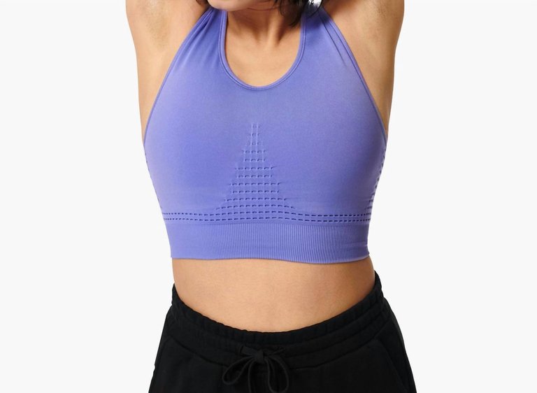 Stamina Sports Bra In Cornflower Blue - Cornflower Blue