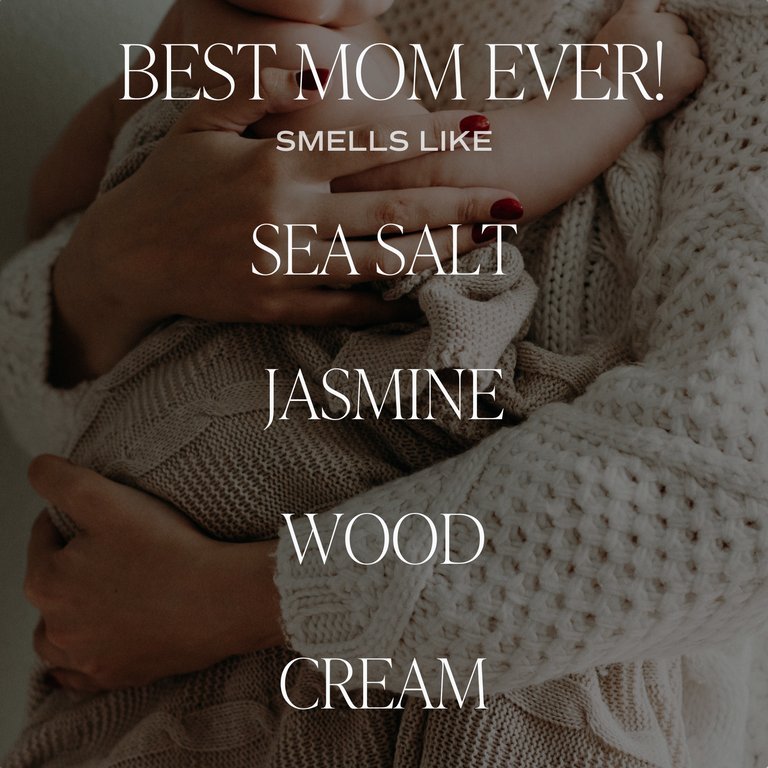 https://images.verishop.com/sweet-water-decor-best-mom-ever-soy-candle/M00811119032970-2890221727?auto=format&cs=strip&fit=max&w=768