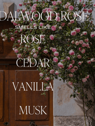 Sandalwood Rose Soy Candle - Clear Jar - 9 oz
