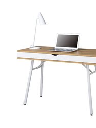 Modern Multi Storage Computer Desk with Storage