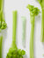 The Celery Nail Strengthening Oil