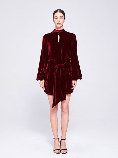 The 28th Rose Wanda Velvet Mini Dress - Burgundy product