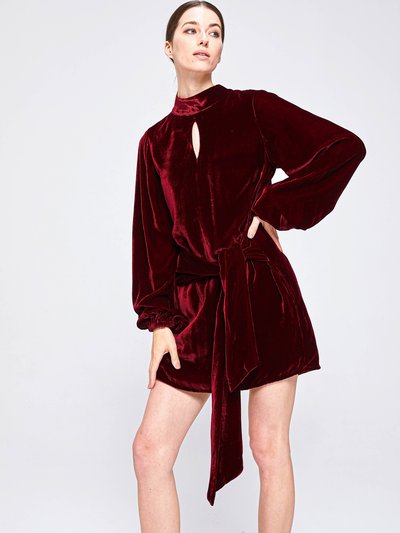 The 28th Rose Wanda Velvet Mini Dress - Burgundy product