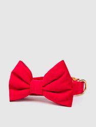 Cranberry Velvet Bow Tie Collar - Cranberry