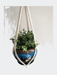 Blake Plant Hanger