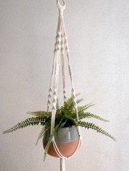 Carrie Plant Hanger