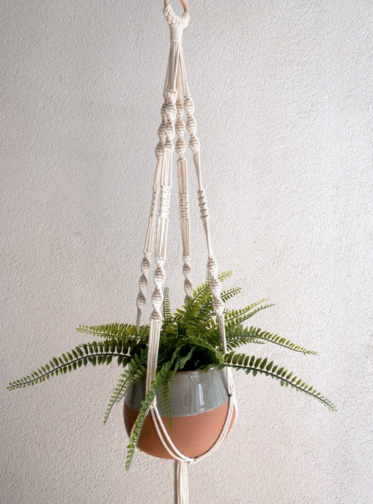 Carrie Plant Hanger