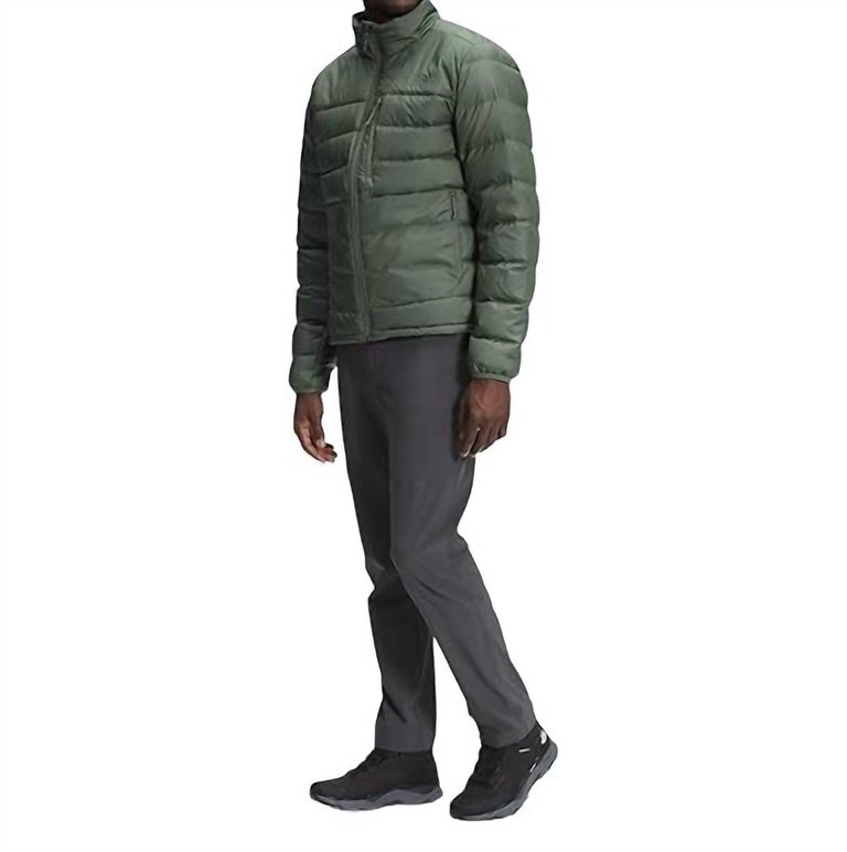 Aconcagua 2 Jacket In Thyme