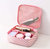 Everyday Cosmetic Bag - Pink Stripe